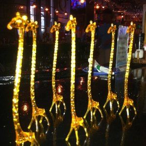 Meet your Posher, Liz